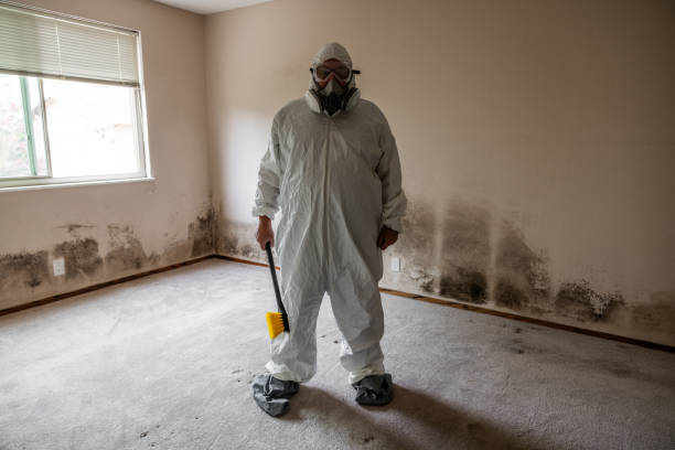 Environmental Consulting for Mold Prevention in Fort Totten, ND